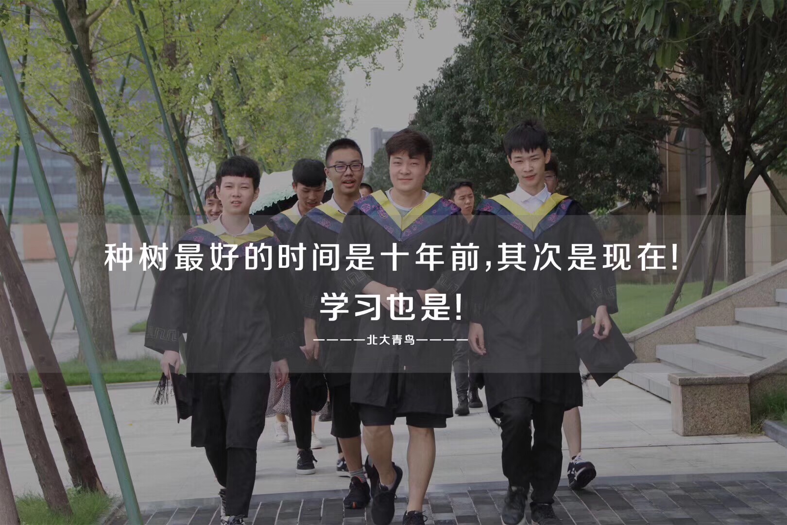 鄭州北大青鳥(niǎo)翔天信鴿學(xué)校怎么樣呢